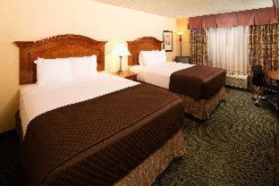 Red Lion Airport 3*